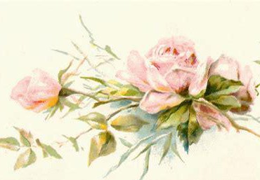 a beautiful garland of pink roses