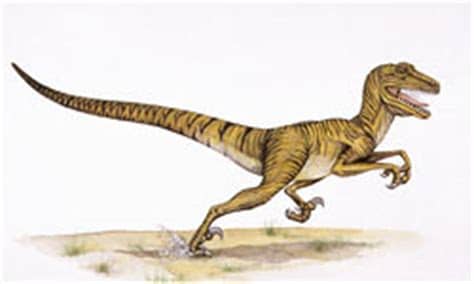 pic of Dinochus showing hooked foot claw